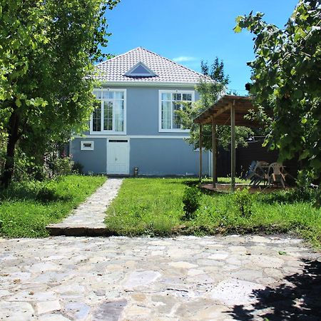 Soft Villa Qəbələ Zewnętrze zdjęcie